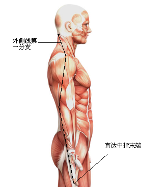 图6侧.png