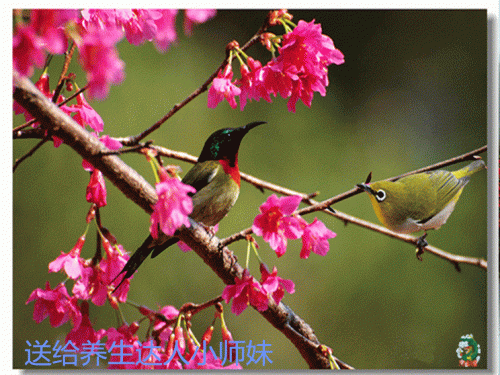 35帧_副本.gif