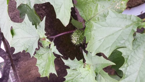 20160213_102426.jpg