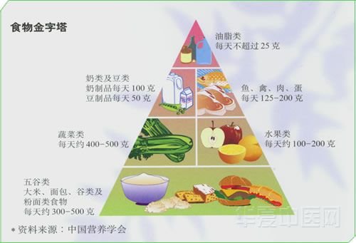 食物金字塔.jpg