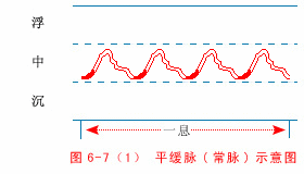 62f9dafc5dbc5981b801a0eb图片平缓脉.gif