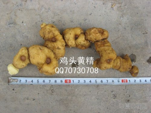 照片4.jpg