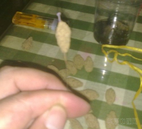 阿姨做的艾柱2.jpg