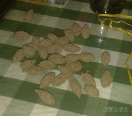 阿姨做的艾柱.jpg