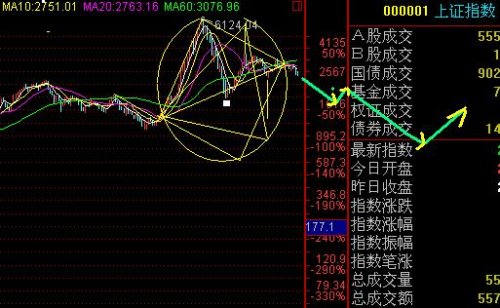27个月.JPG