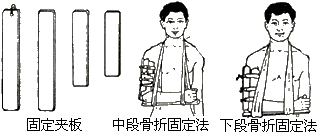 s73_52a.gif