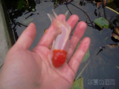 照片 001_2011118154851.jpg