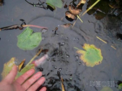 照片 001_2011118154911.jpg