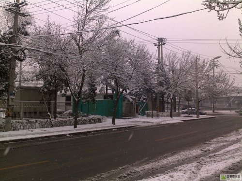 20100314051x.jpg