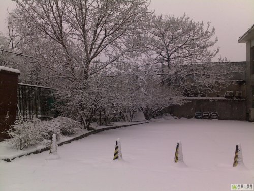 20100314054x.jpg