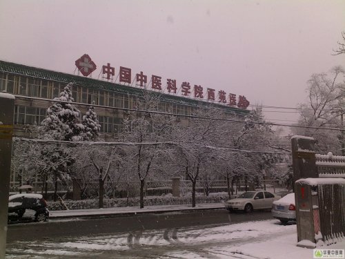 20100314056x.jpg