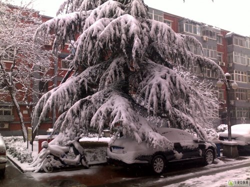 20100314057x.jpg