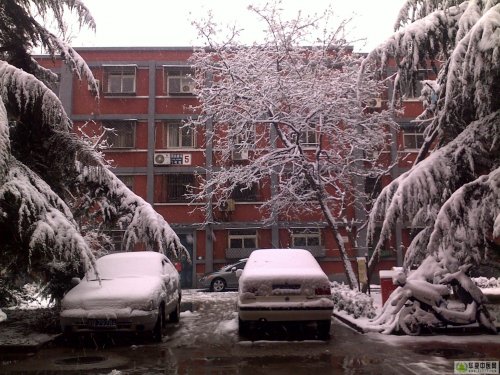 20100314058x.jpg