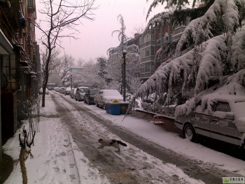 20100314060x.jpg
