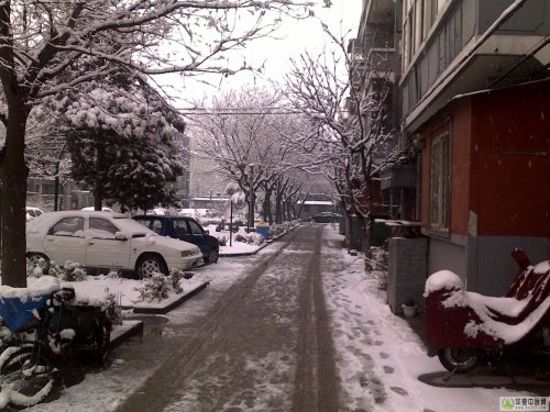 20100314070x.jpg