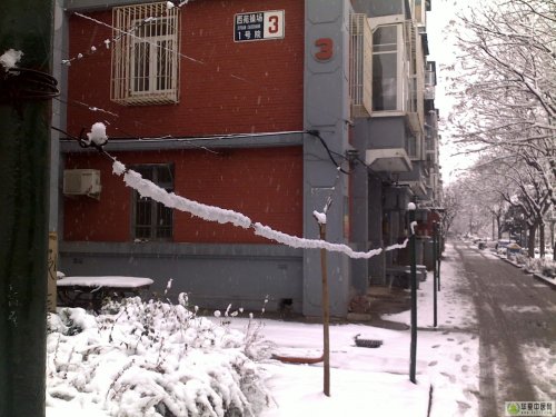 20100314071x.jpg