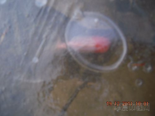 照片 003.jpg