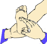 145486_7367568_6.gif