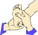 145486_7367568_8.gif