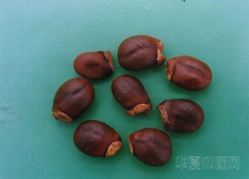 未命名.jpg
