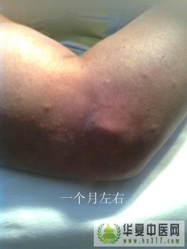 图像0062_副本.jpg