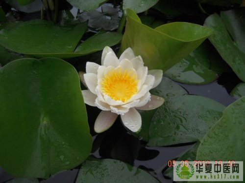 照片 004.jpg