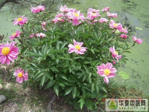 照片 005.jpg