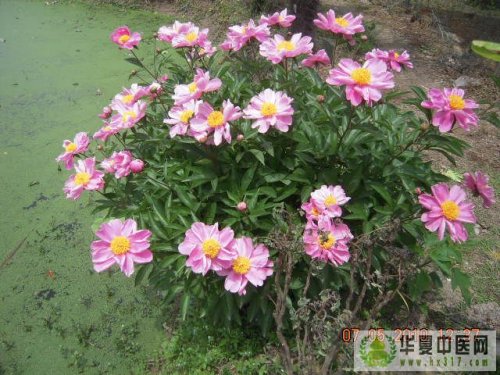 照片 007.jpg