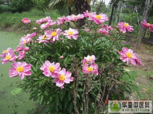 照片 008.jpg