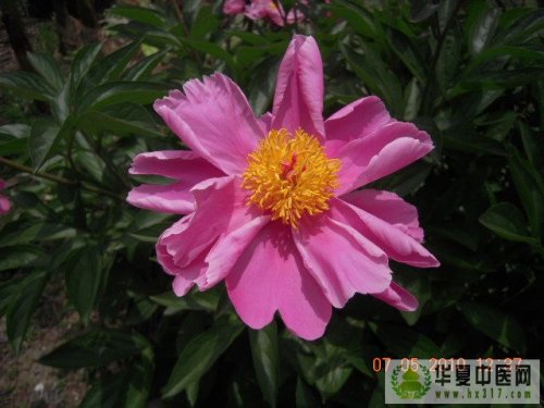照片 009.jpg