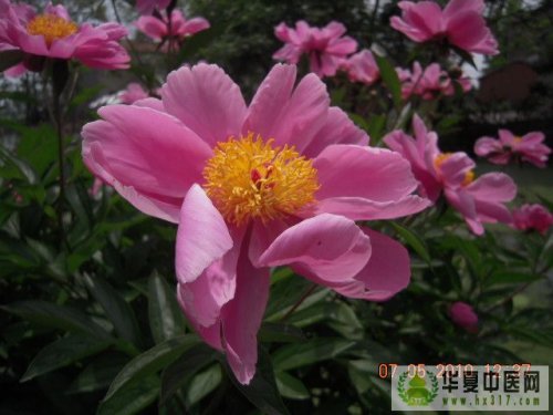 照片 010.jpg