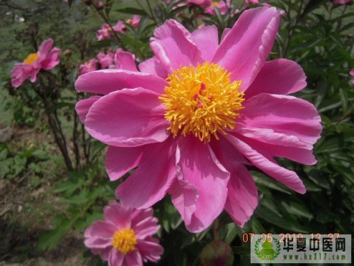 照片 011.jpg