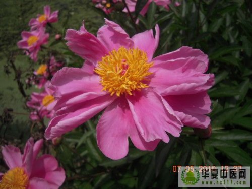 照片 012.jpg