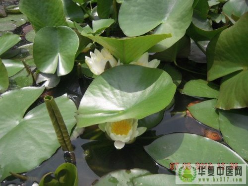 照片 013.jpg