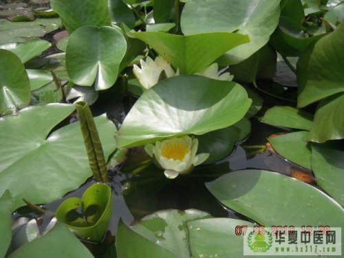 照片 014.jpg