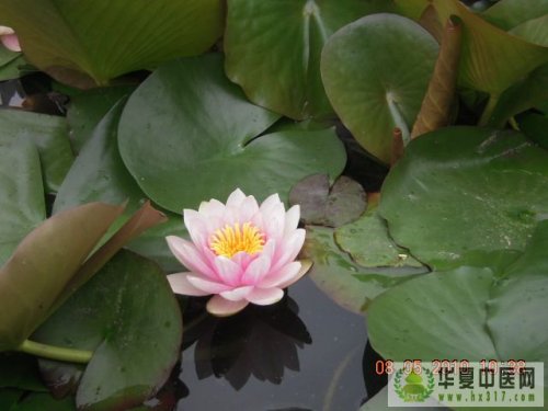 照片 015.jpg