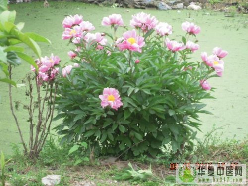 照片 021.jpg