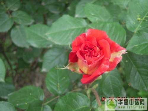 照片 024.jpg
