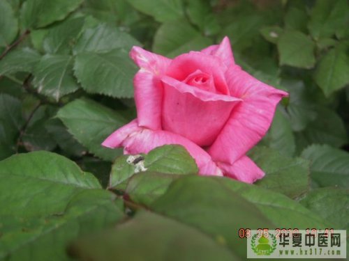 照片 025.jpg