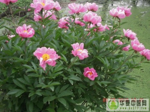 照片 026.jpg