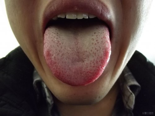 DSCF3503.JPG