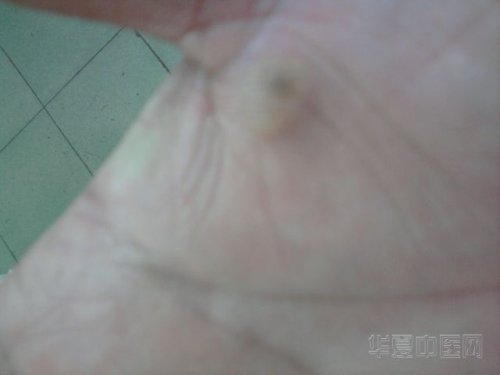 照片2666.jpg