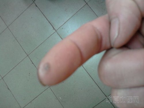 照片2667.jpg