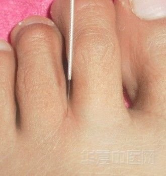 内庭.jpg