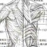 医行僧