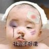 东北猪