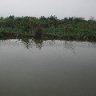 youzhu