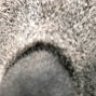1099656905