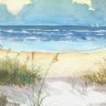 沧海无惊浪