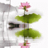 临轩听雨
